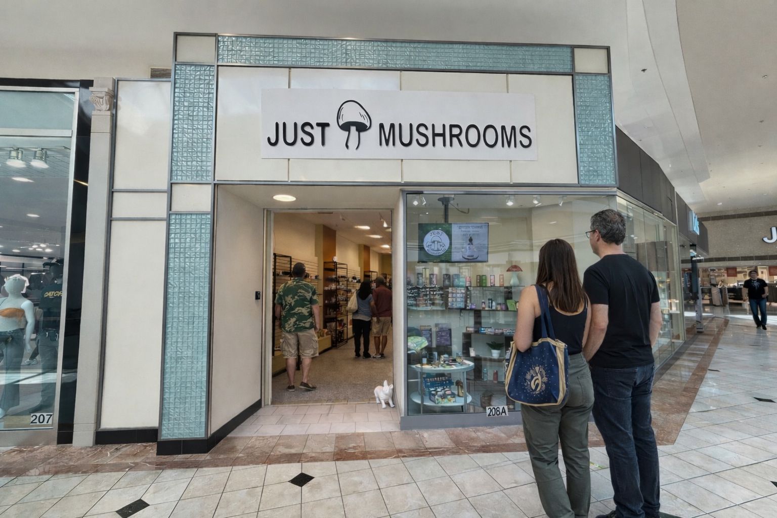 Just Mushroom Store | Natural Mushroom Supplements for Daily Wellness
–
Just Mushrooms