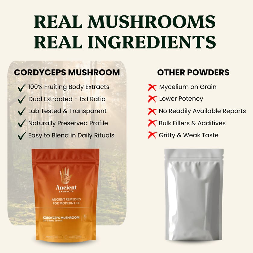 Cordyceps Mushroom Extract Powder - 30% Beta-glucan (60g)