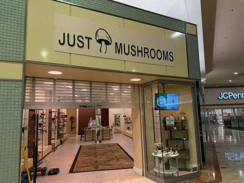 Just Mushrooms