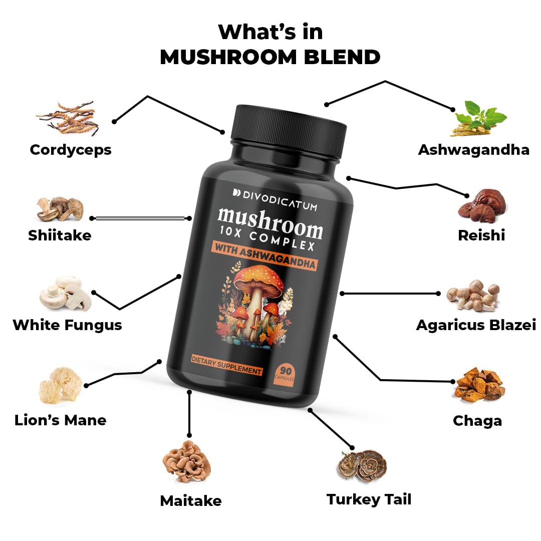 Mushroom 10x Complex