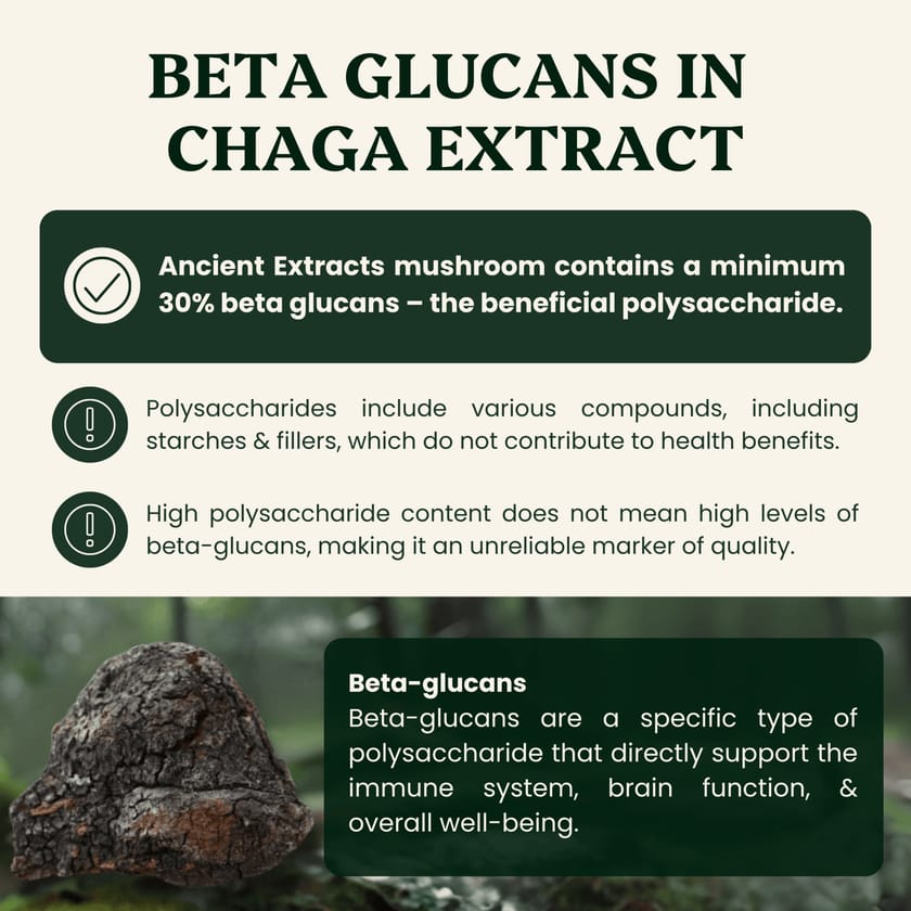 Endurance Pair Chaga & Cordyceps Extracts - 30% Beta Glucans (60g each)