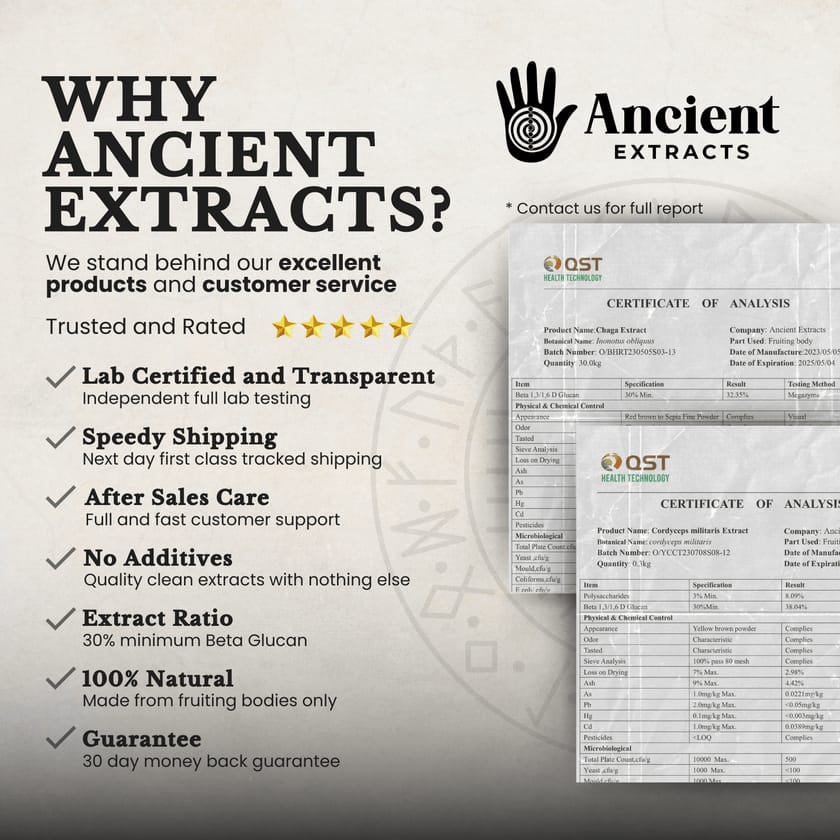 Endurance Pair Chaga & Cordyceps Extracts - 30% Beta Glucans (60g each)