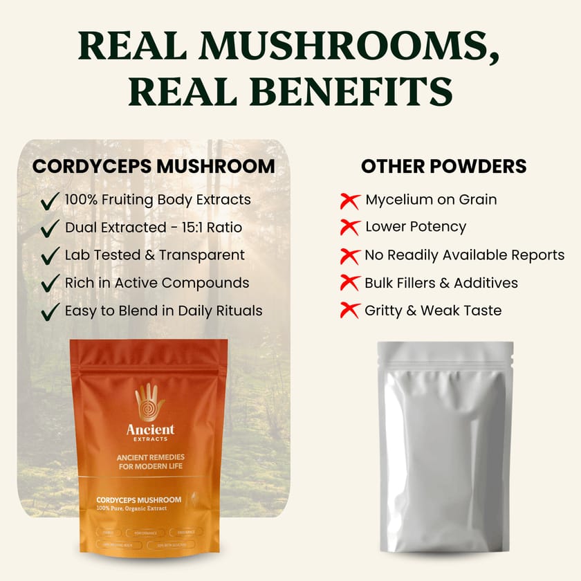 Balance Pair Reishi & Cordyceps Extracts - 30% Beta Glucans (60g each)