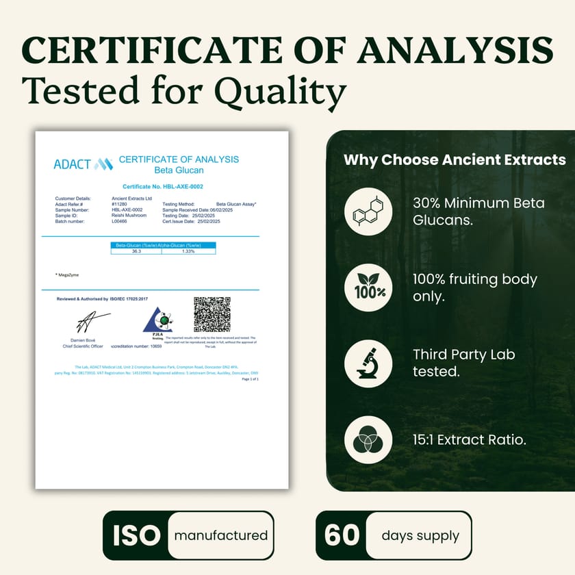 Balance Pair Reishi & Cordyceps Extracts - 30% Beta Glucans (60g each)