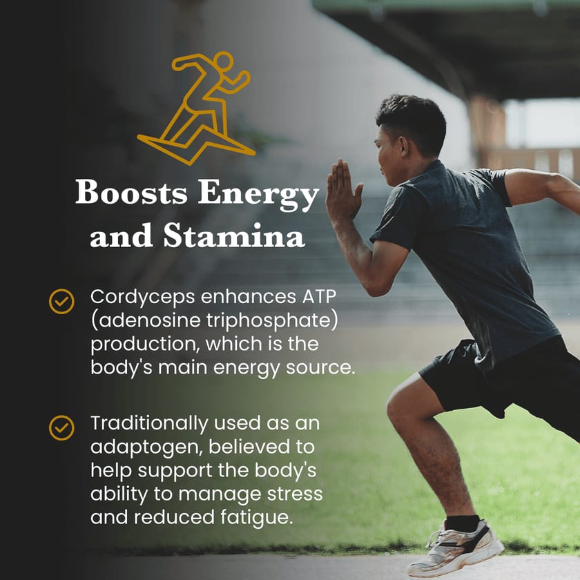 Balance Pair Reishi & Cordyceps Extracts - 30% Beta Glucans (60g each)