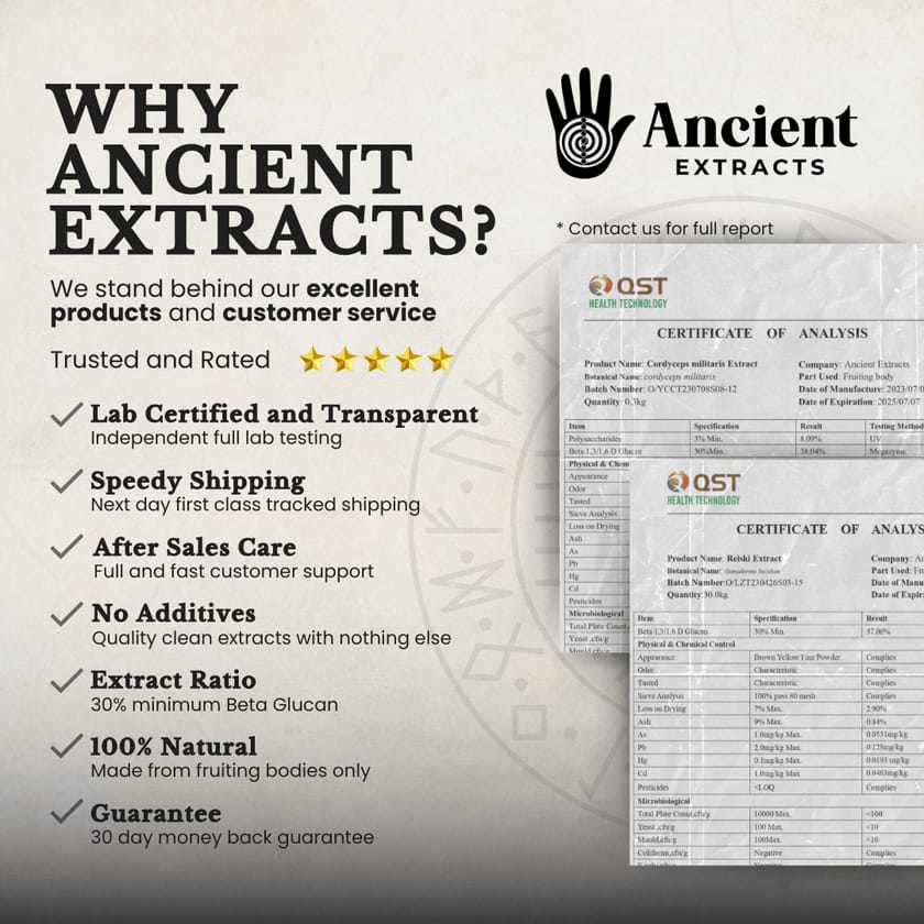 Balance Pair Reishi & Cordyceps Extracts - 30% Beta Glucans (60g each)