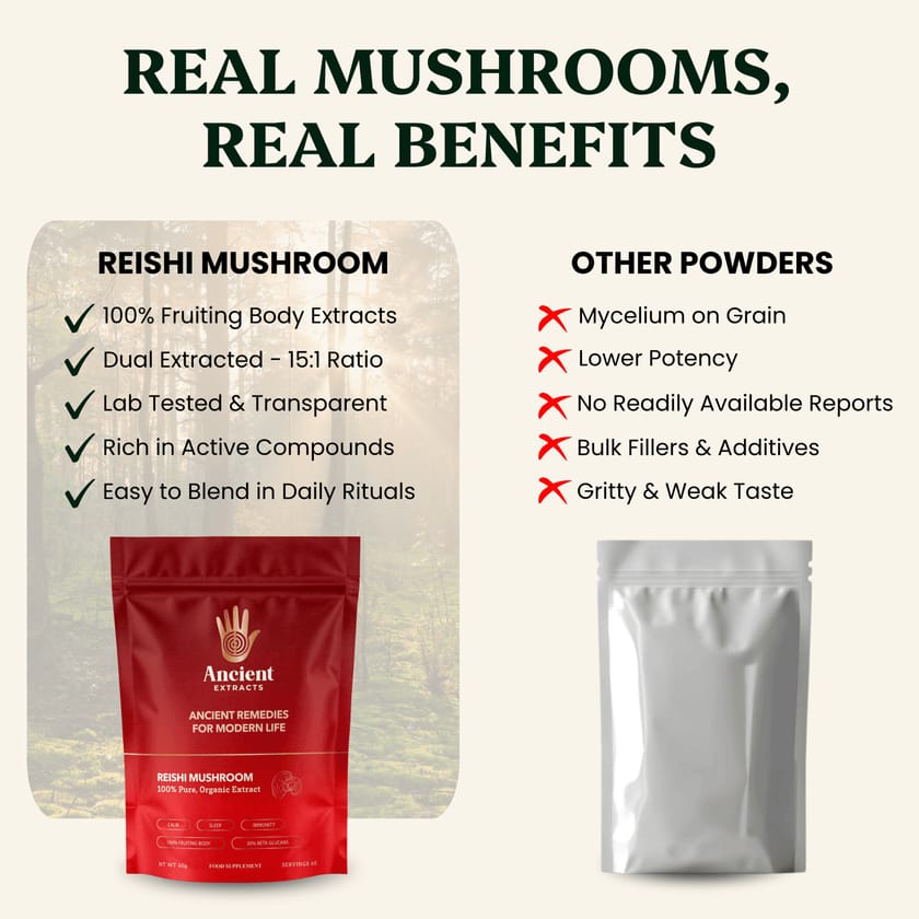 Mindful Pair Lions Mane & Reishi Extracts -30% Beta Glucans (60g each)