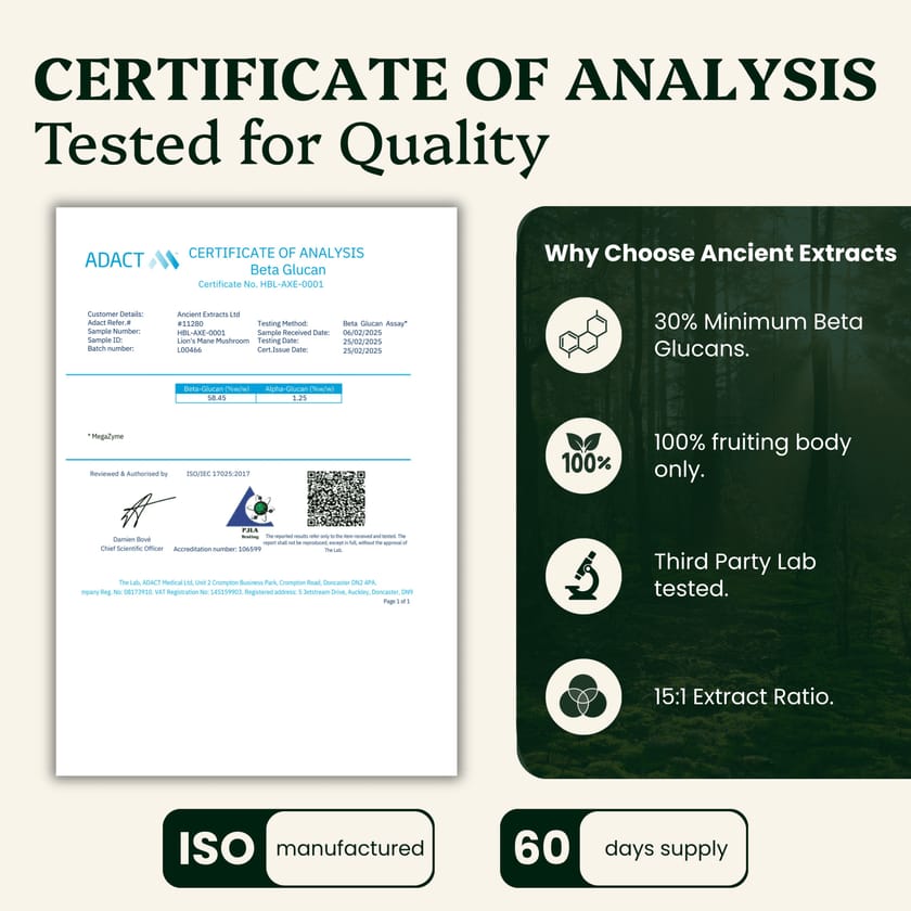 Mindful Pair Lions Mane & Reishi Extracts -30% Beta Glucans (60g each)