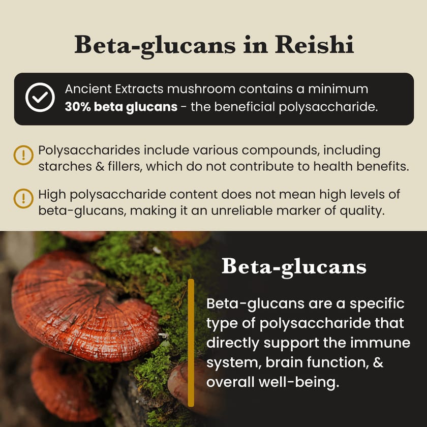 Cleanse Pair - Raw Shilajit Resin and Reishi Mushroom Extract
