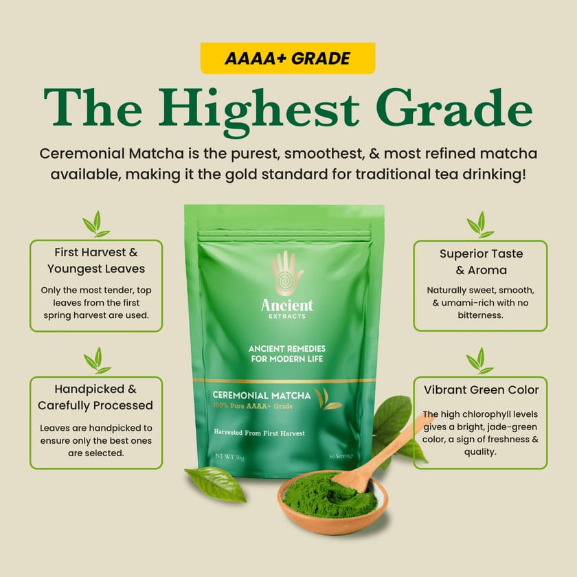 Ceremonial Matcha AAAA+ Grade - 50 Servings - 50g