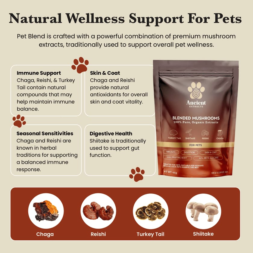 Mushroom Blend - Veterinarian formulated supplement for Dogs and Cats