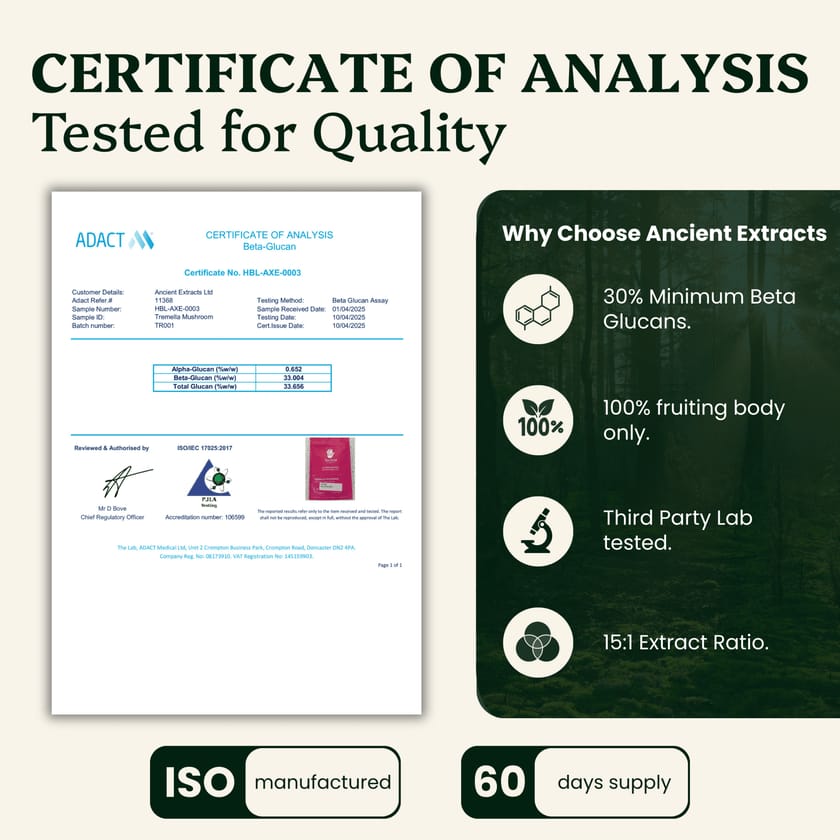 Beauty Pair Tremella & Chaga Mushroom Extracts - 30% Beta Glucans (60g each)